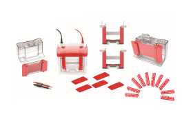 1560149171595740.jpg 04.jpg